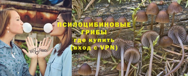 ПСИЛОЦИБИНОВЫЕ ГРИБЫ Богородск