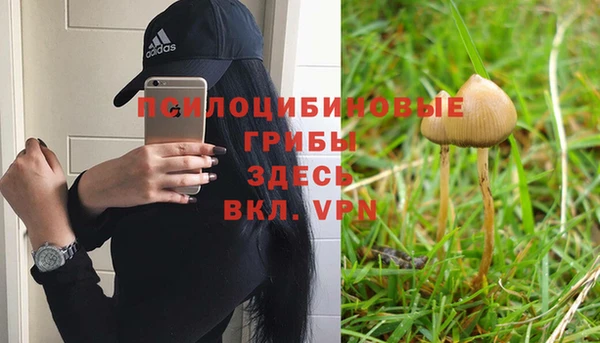 MDMA Богданович