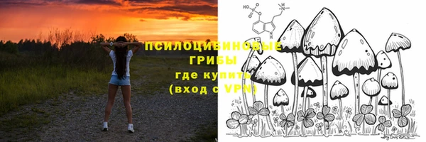 MDMA Богородицк
